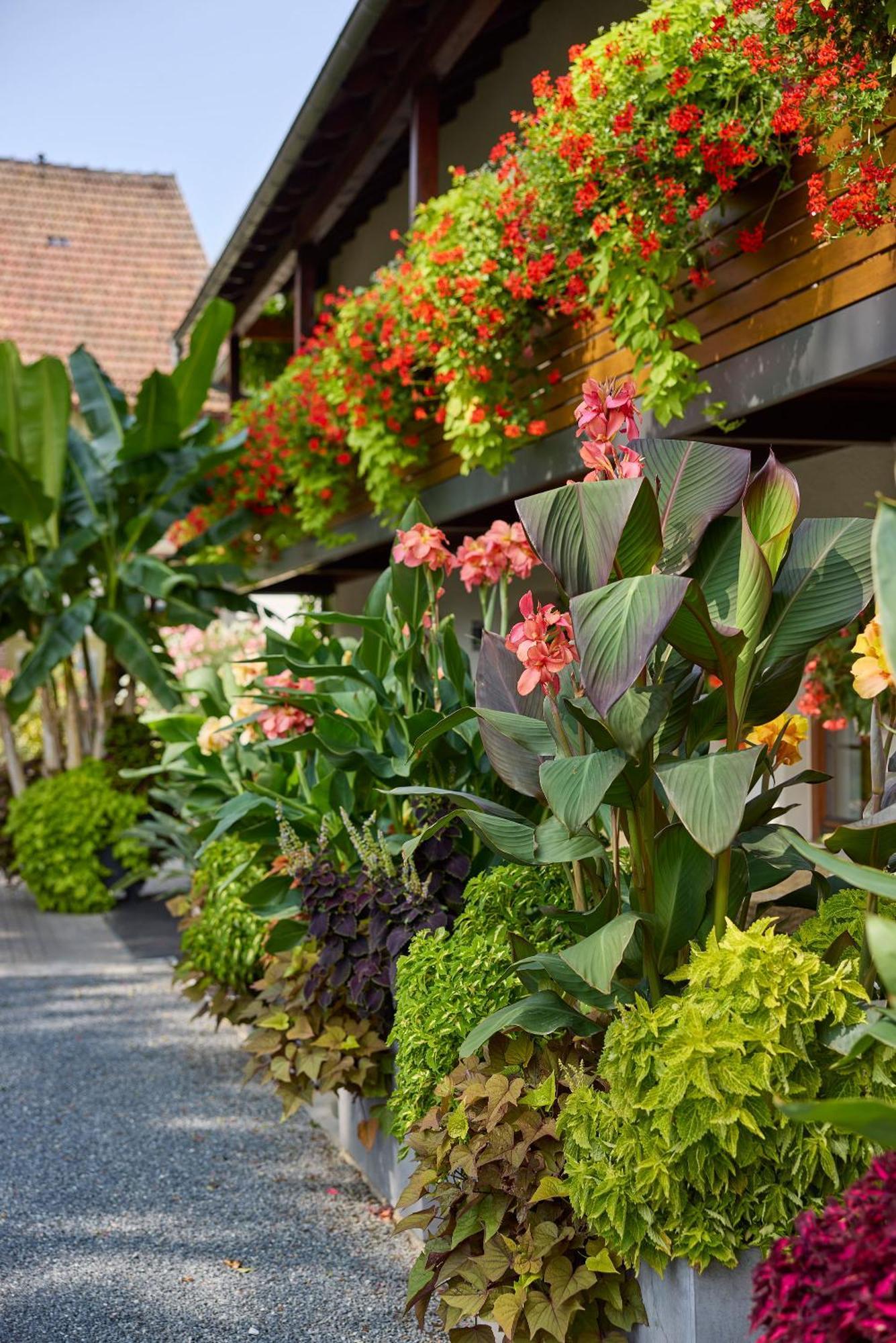 Hotel Garni Sonnenhof Reichenberg  Екстер'єр фото