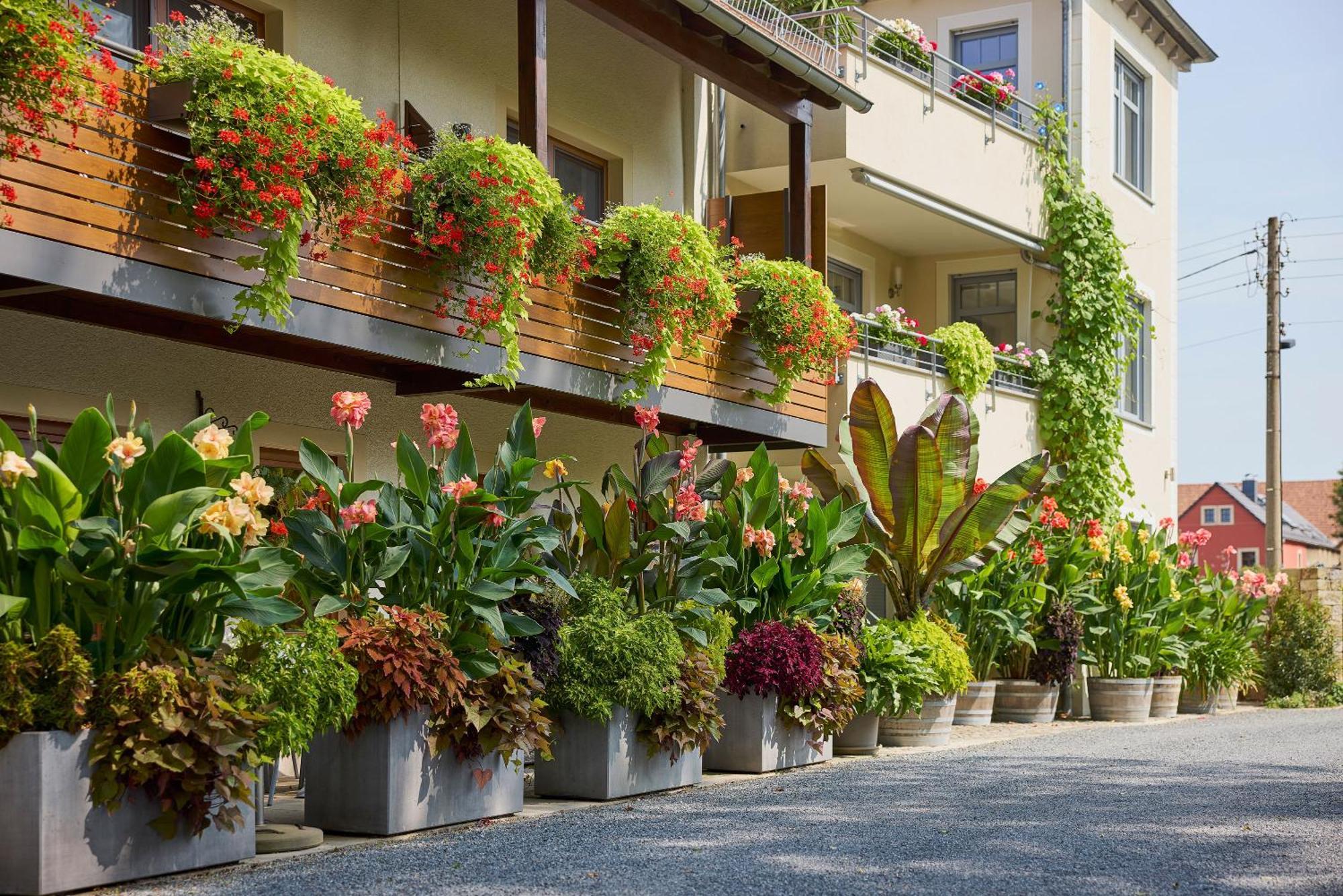 Hotel Garni Sonnenhof Reichenberg  Екстер'єр фото